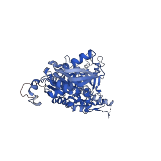 20004_6oax_C_v1-2
Structure of the hyperactive ClpB mutant K476C, bound to casein, pre-state