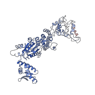 20004_6oax_E_v1-1
Structure of the hyperactive ClpB mutant K476C, bound to casein, pre-state