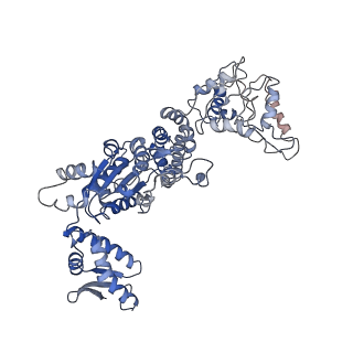 20004_6oax_E_v1-2
Structure of the hyperactive ClpB mutant K476C, bound to casein, pre-state