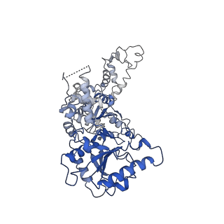 20005_6oay_B_v1-1
Structure of the hyperactive ClpB mutant K476C, bound to casein, post-state