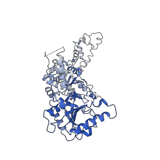 20005_6oay_B_v1-2
Structure of the hyperactive ClpB mutant K476C, bound to casein, post-state