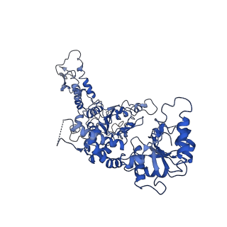 20005_6oay_C_v1-1
Structure of the hyperactive ClpB mutant K476C, bound to casein, post-state
