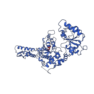 20005_6oay_D_v1-2
Structure of the hyperactive ClpB mutant K476C, bound to casein, post-state