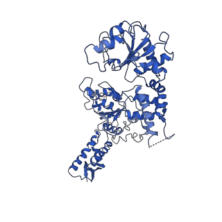 20005_6oay_E_v1-1
Structure of the hyperactive ClpB mutant K476C, bound to casein, post-state