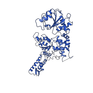 20005_6oay_E_v1-2
Structure of the hyperactive ClpB mutant K476C, bound to casein, post-state