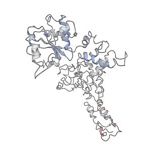 20005_6oay_F_v1-1
Structure of the hyperactive ClpB mutant K476C, bound to casein, post-state