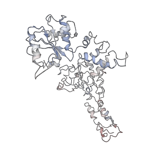 20005_6oay_F_v1-2
Structure of the hyperactive ClpB mutant K476C, bound to casein, post-state