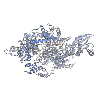 3727_5oa1_A_v1-3
RNA polymerase I pre-initiation complex