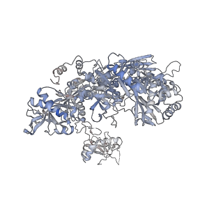 3727_5oa1_B_v1-3
RNA polymerase I pre-initiation complex