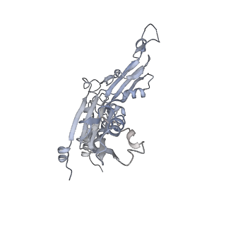 3727_5oa1_C_v1-3
RNA polymerase I pre-initiation complex