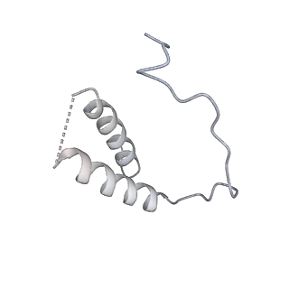 3727_5oa1_D_v1-3
RNA polymerase I pre-initiation complex