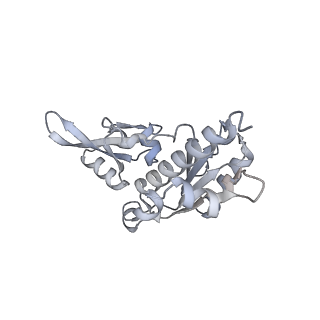 3727_5oa1_E_v1-3
RNA polymerase I pre-initiation complex