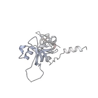 3727_5oa1_G_v1-3
RNA polymerase I pre-initiation complex