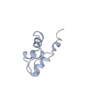 3727_5oa1_J_v1-3
RNA polymerase I pre-initiation complex