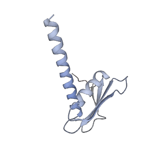3727_5oa1_K_v1-3
RNA polymerase I pre-initiation complex