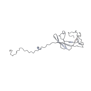 3727_5oa1_N_v1-3
RNA polymerase I pre-initiation complex