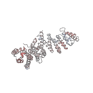 3727_5oa1_O_v1-3
RNA polymerase I pre-initiation complex