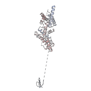 3727_5oa1_U_v1-3
RNA polymerase I pre-initiation complex