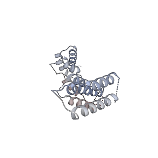 3727_5oa1_W_v1-3
RNA polymerase I pre-initiation complex