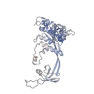 3773_5oaf_C_v1-2
Human Rvb1/Rvb2 heterohexamer in INO80 complex