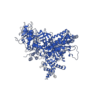12795_7ob9_A_v1-1
Cryo-EM structure of human RNA Polymerase I in elongation state