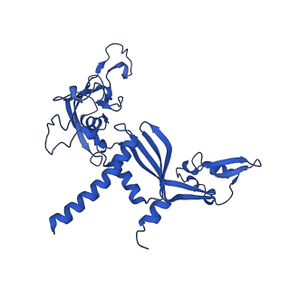 12795_7ob9_C_v1-1
Cryo-EM structure of human RNA Polymerase I in elongation state