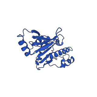 12795_7ob9_E_v1-1
Cryo-EM structure of human RNA Polymerase I in elongation state