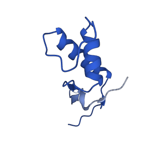 12795_7ob9_F_v1-1
Cryo-EM structure of human RNA Polymerase I in elongation state