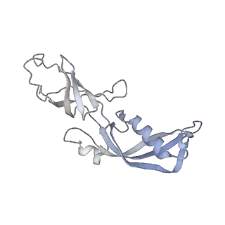 12795_7ob9_G_v1-1
Cryo-EM structure of human RNA Polymerase I in elongation state