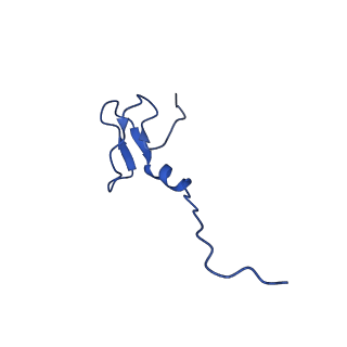12795_7ob9_I_v1-1
Cryo-EM structure of human RNA Polymerase I in elongation state