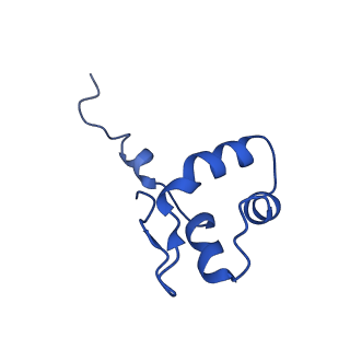 12795_7ob9_J_v1-1
Cryo-EM structure of human RNA Polymerase I in elongation state