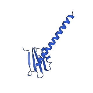 12795_7ob9_K_v1-1
Cryo-EM structure of human RNA Polymerase I in elongation state