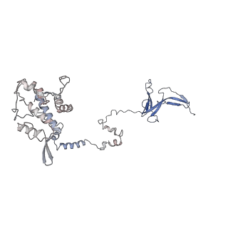 12795_7ob9_M_v1-1
Cryo-EM structure of human RNA Polymerase I in elongation state