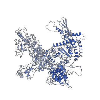 12796_7oba_A_v1-1
Cryo-EM structure of human RNA Polymerase I in complex with RRN3