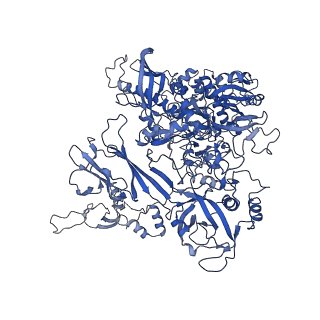 12796_7oba_B_v1-1
Cryo-EM structure of human RNA Polymerase I in complex with RRN3