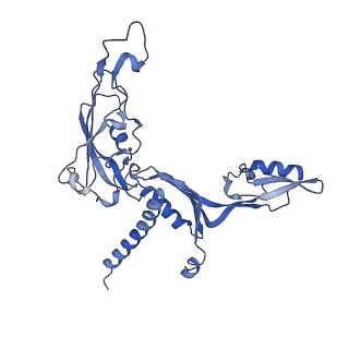 12796_7oba_C_v1-1
Cryo-EM structure of human RNA Polymerase I in complex with RRN3