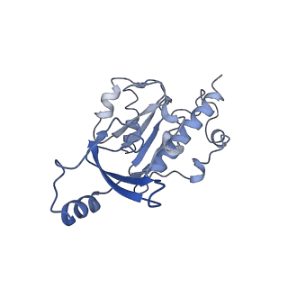 12796_7oba_E_v1-1
Cryo-EM structure of human RNA Polymerase I in complex with RRN3