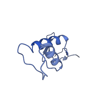 12796_7oba_F_v1-1
Cryo-EM structure of human RNA Polymerase I in complex with RRN3
