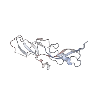 12796_7oba_G_v1-1
Cryo-EM structure of human RNA Polymerase I in complex with RRN3