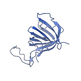 12796_7oba_H_v1-1
Cryo-EM structure of human RNA Polymerase I in complex with RRN3