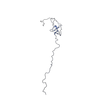 12796_7oba_N_v1-1
Cryo-EM structure of human RNA Polymerase I in complex with RRN3