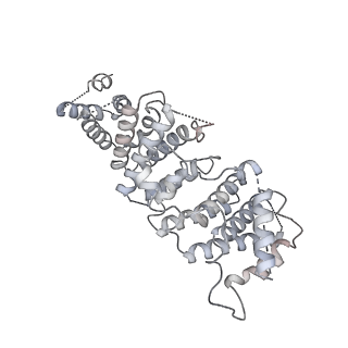 12796_7oba_O_v1-1
Cryo-EM structure of human RNA Polymerase I in complex with RRN3