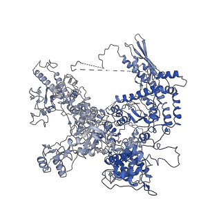 12797_7obb_A_v1-1
Cryo-EM structure of human RNA Polymerase I Open Complex