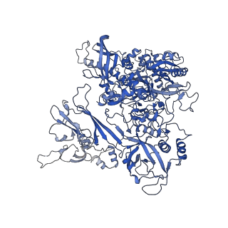 12797_7obb_B_v1-1
Cryo-EM structure of human RNA Polymerase I Open Complex