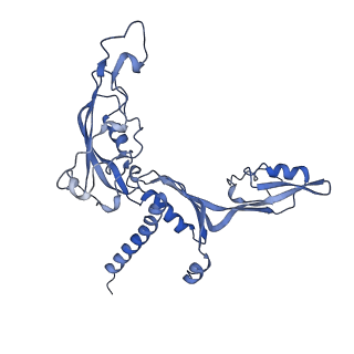 12797_7obb_C_v1-1
Cryo-EM structure of human RNA Polymerase I Open Complex