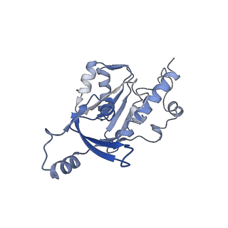 12797_7obb_E_v1-1
Cryo-EM structure of human RNA Polymerase I Open Complex