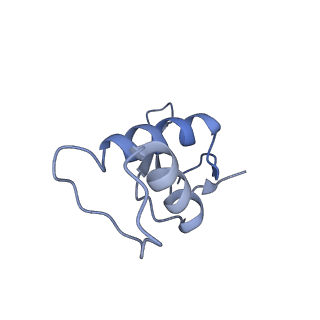 12797_7obb_F_v1-1
Cryo-EM structure of human RNA Polymerase I Open Complex