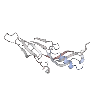 12797_7obb_G_v1-1
Cryo-EM structure of human RNA Polymerase I Open Complex