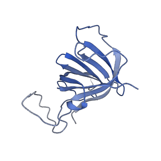12797_7obb_H_v1-1
Cryo-EM structure of human RNA Polymerase I Open Complex