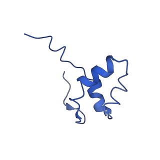 12797_7obb_J_v1-1
Cryo-EM structure of human RNA Polymerase I Open Complex